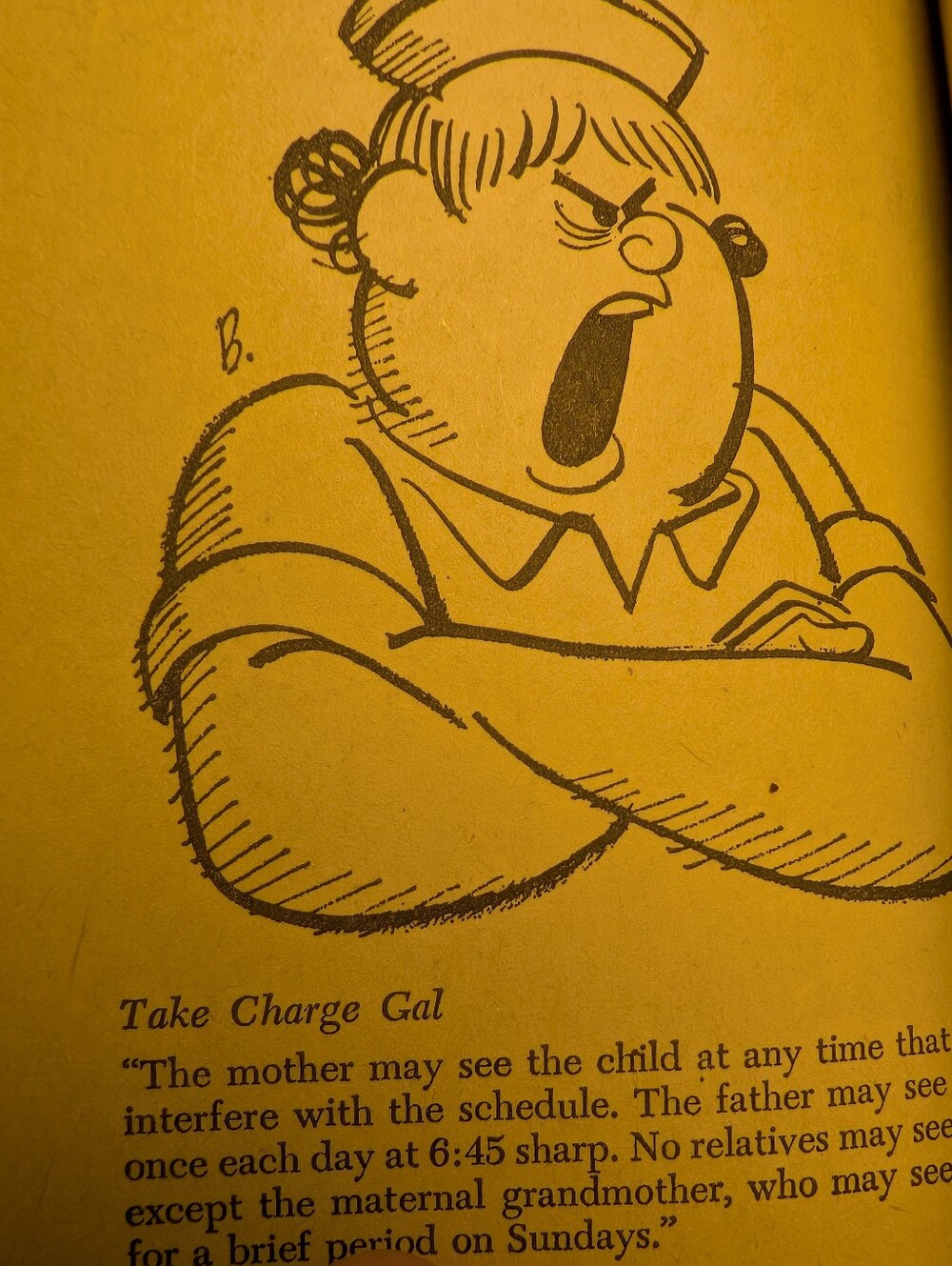 VTG Stan & Jan Berenstain Adult Humor Paperback Lot of 5 Dell Mid-Century Comic - Picture 11 of 16
